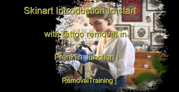 Skinart Introduction to start with tattoo removal in Franklin Junction | RemovalTraining | RemovalClasses | SkinartTraining-United States